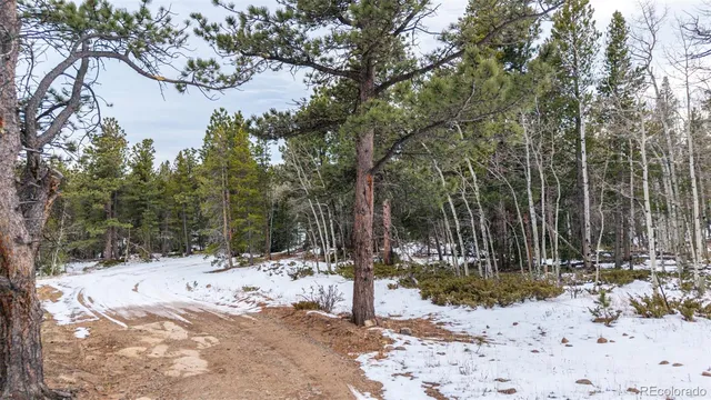 $150,000 | 190 Hard Way Road, Ward, CO 80481