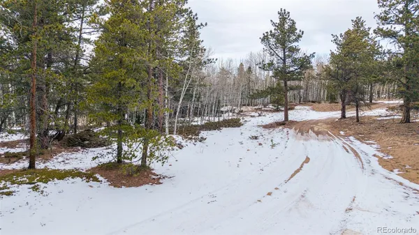 $150,000 | 190 Hard Way Road, Ward, CO 80481
