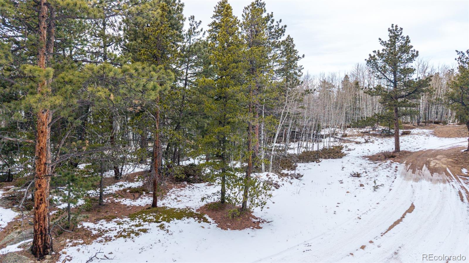 190 Hard Way Road Ward, CO 80481 - Photo 29 of 29 a view of outdoor space with trees