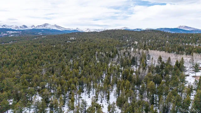 an aerial view of mountain with trees in the background
