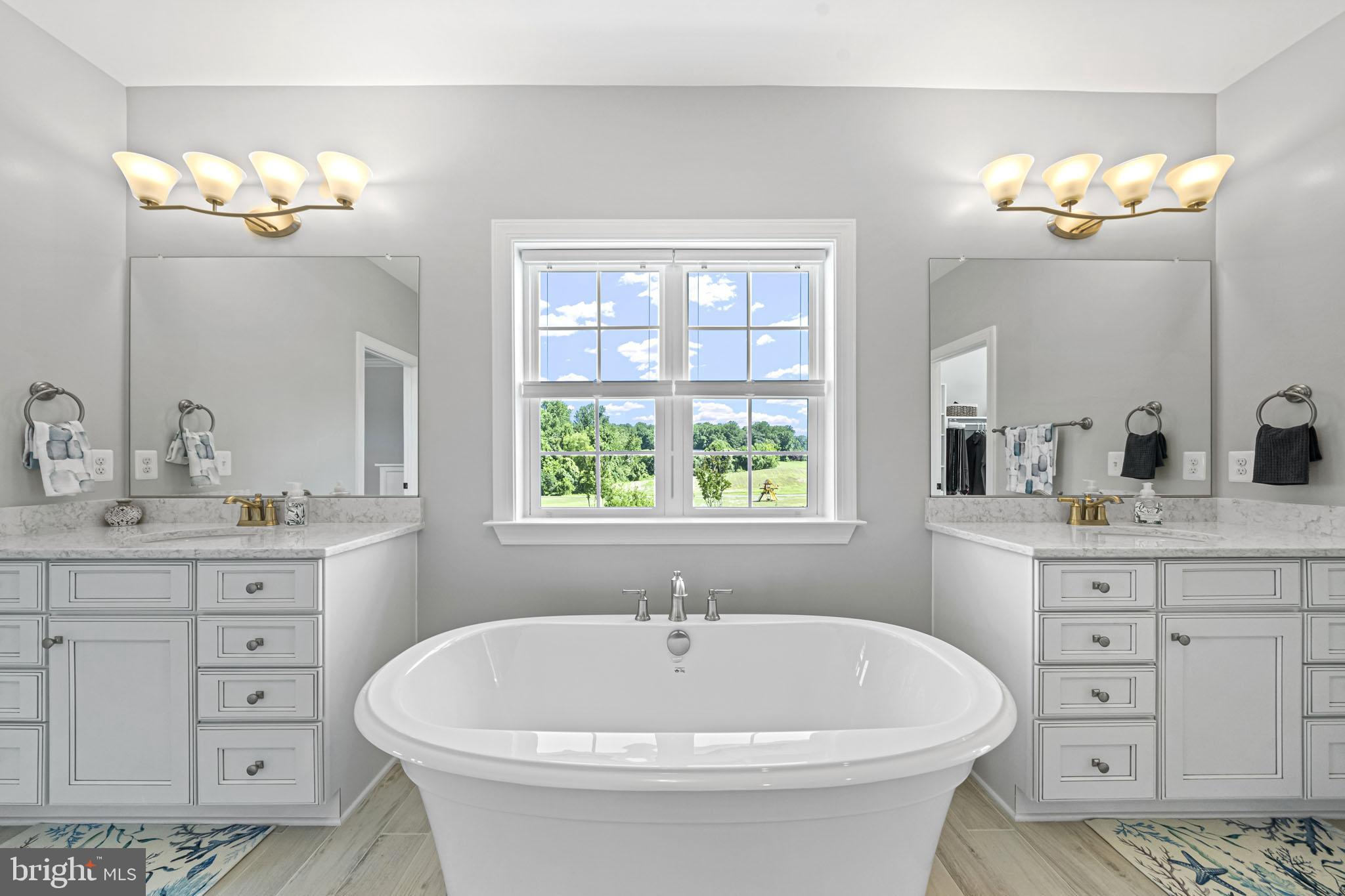 9652 Boyds Turn Road Owings, MD 20736 - Photo 21 of 53 Soaking tub, dual sinks