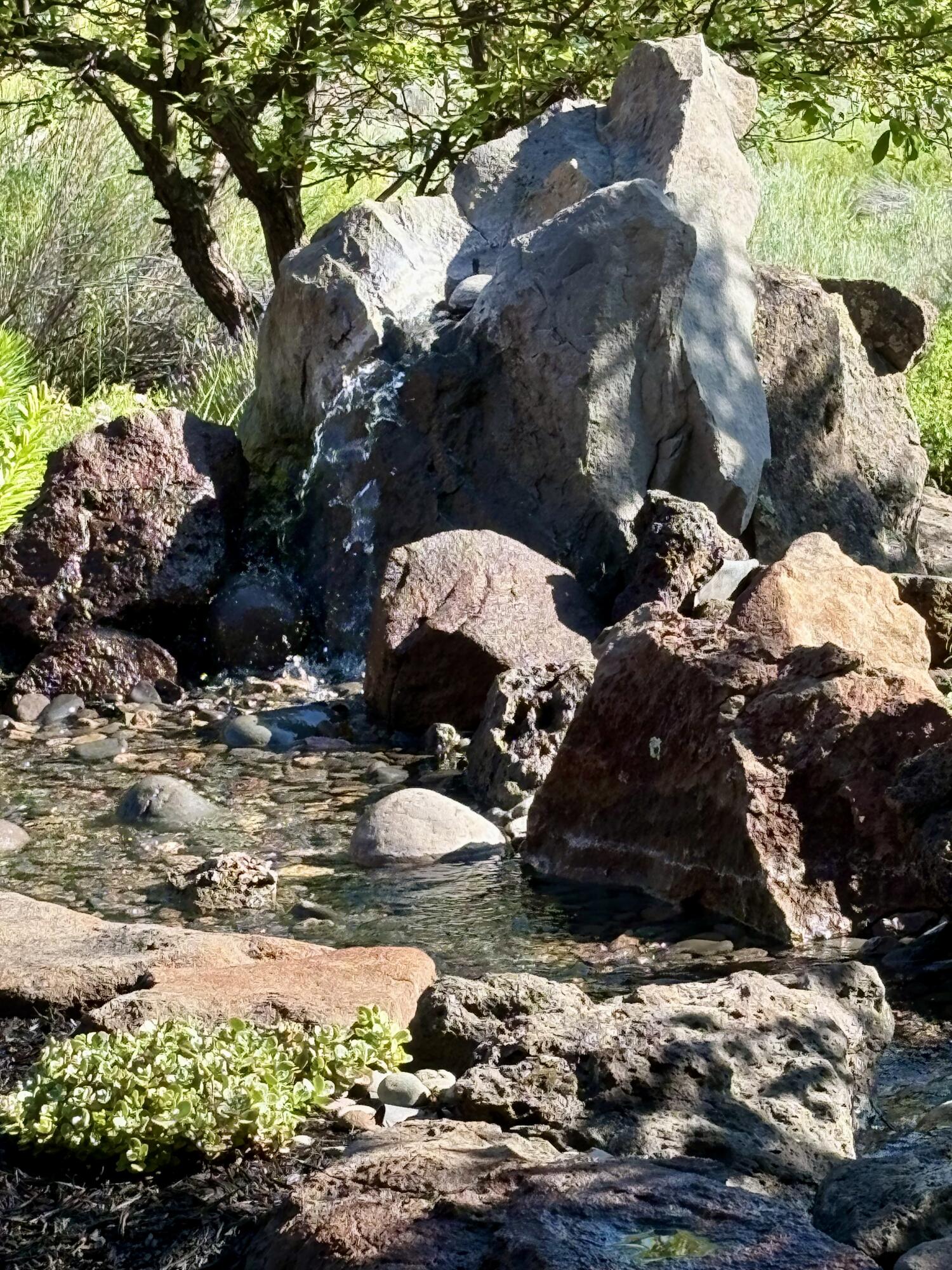 23098 Watercourse Way Bend, OR 97701 - Photo 25 of 30 25. Exterior Back Water Feature 2