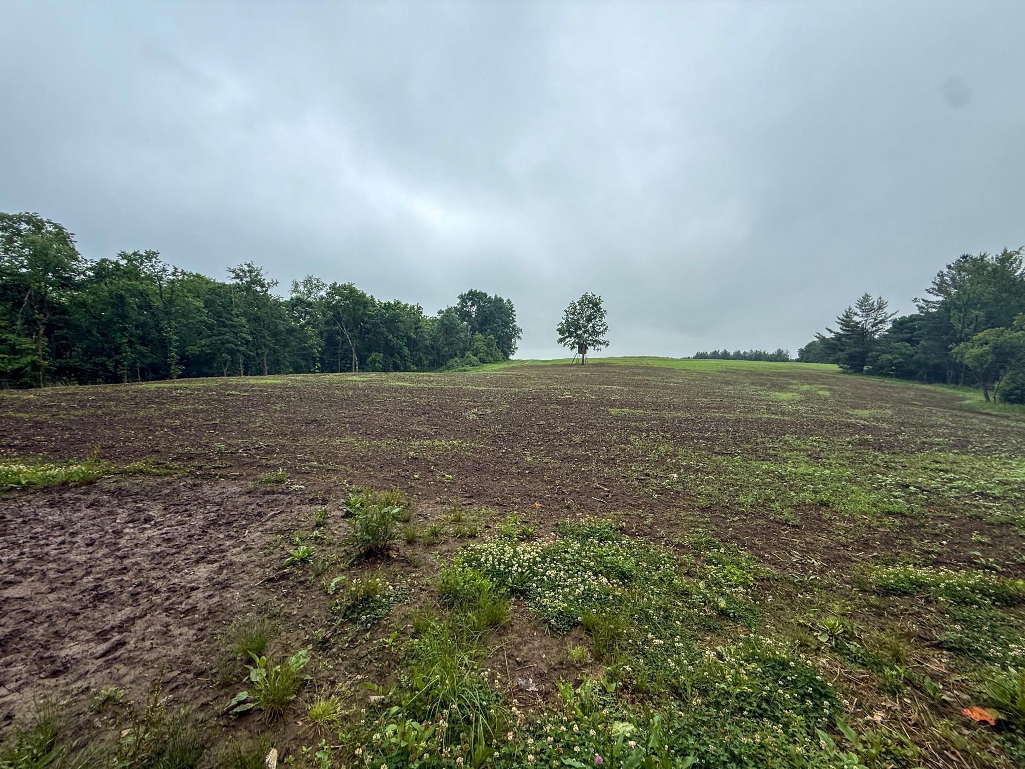 11719 Ridgeview Road Hokah, MN 55941 - Photo 61 of 90