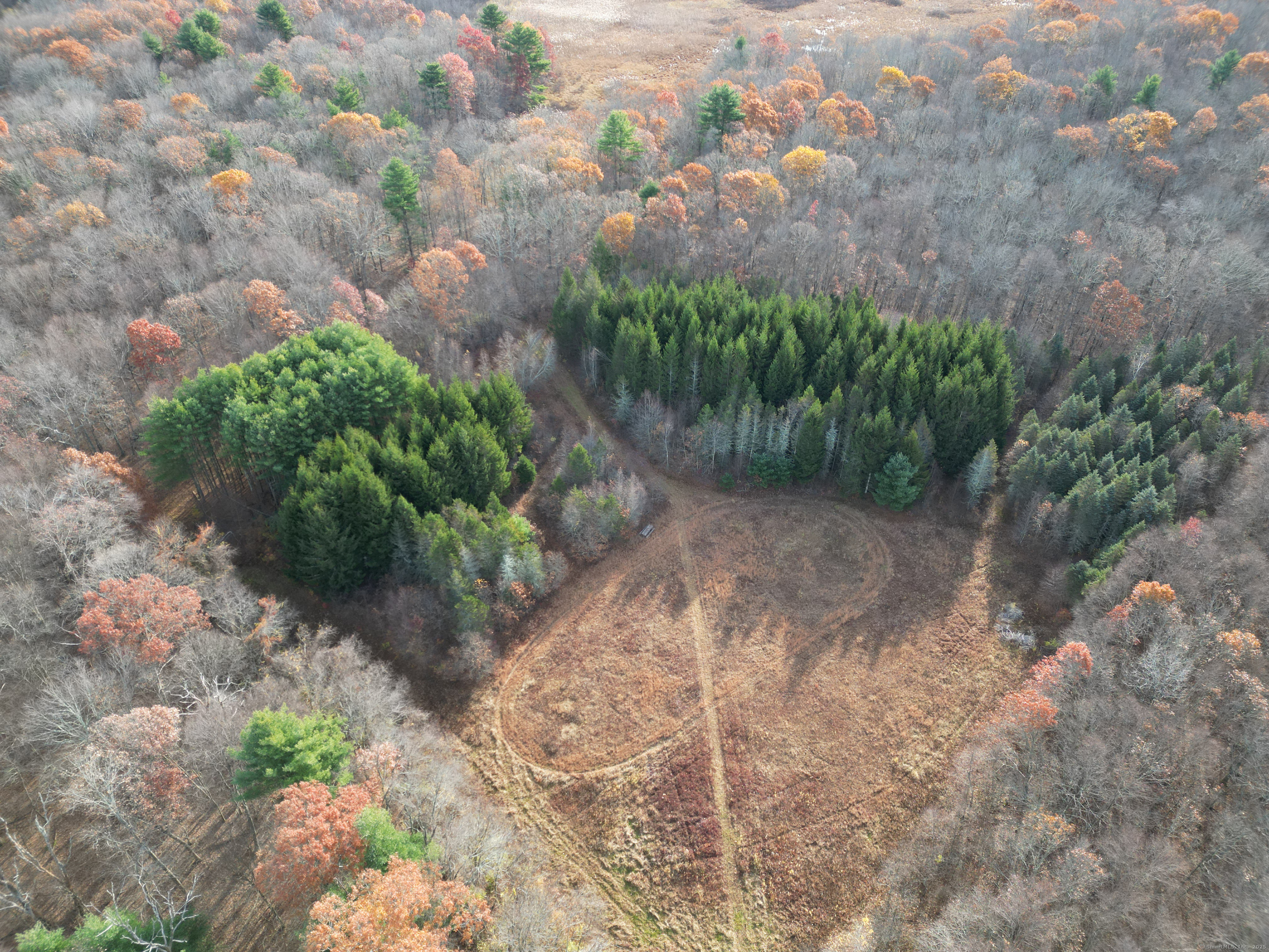 559 East Street Hebron, CT 06248 - Photo 12 of 31 a view of a pathway both side of yard