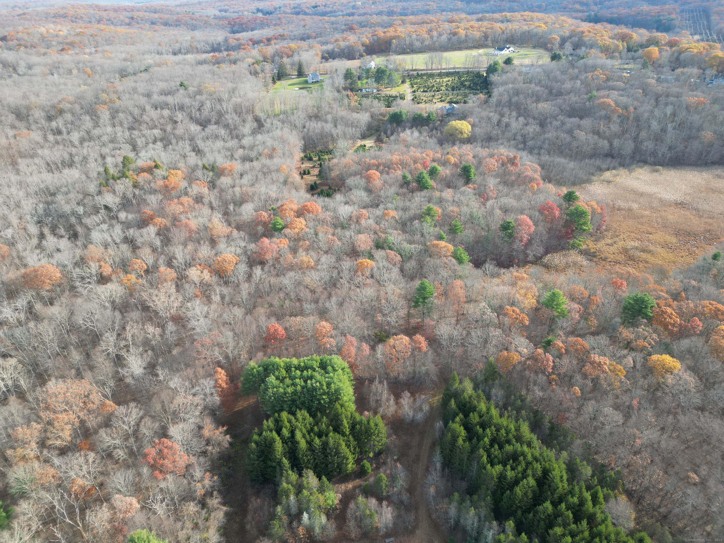 559 East Street Hebron, CT 06248 - Photo 13 of 31 a view of a yard with plants