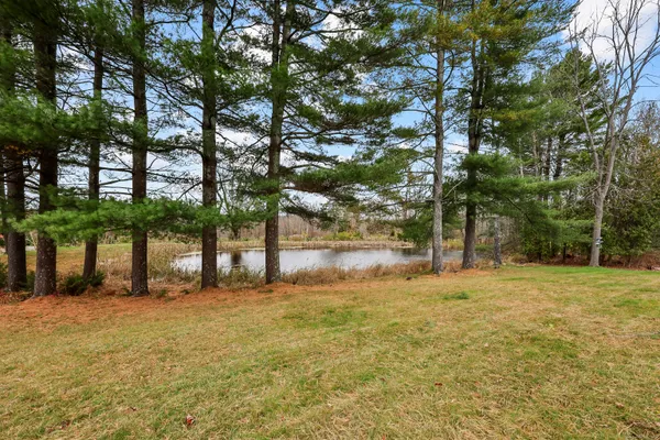 a view of a yard with a tree