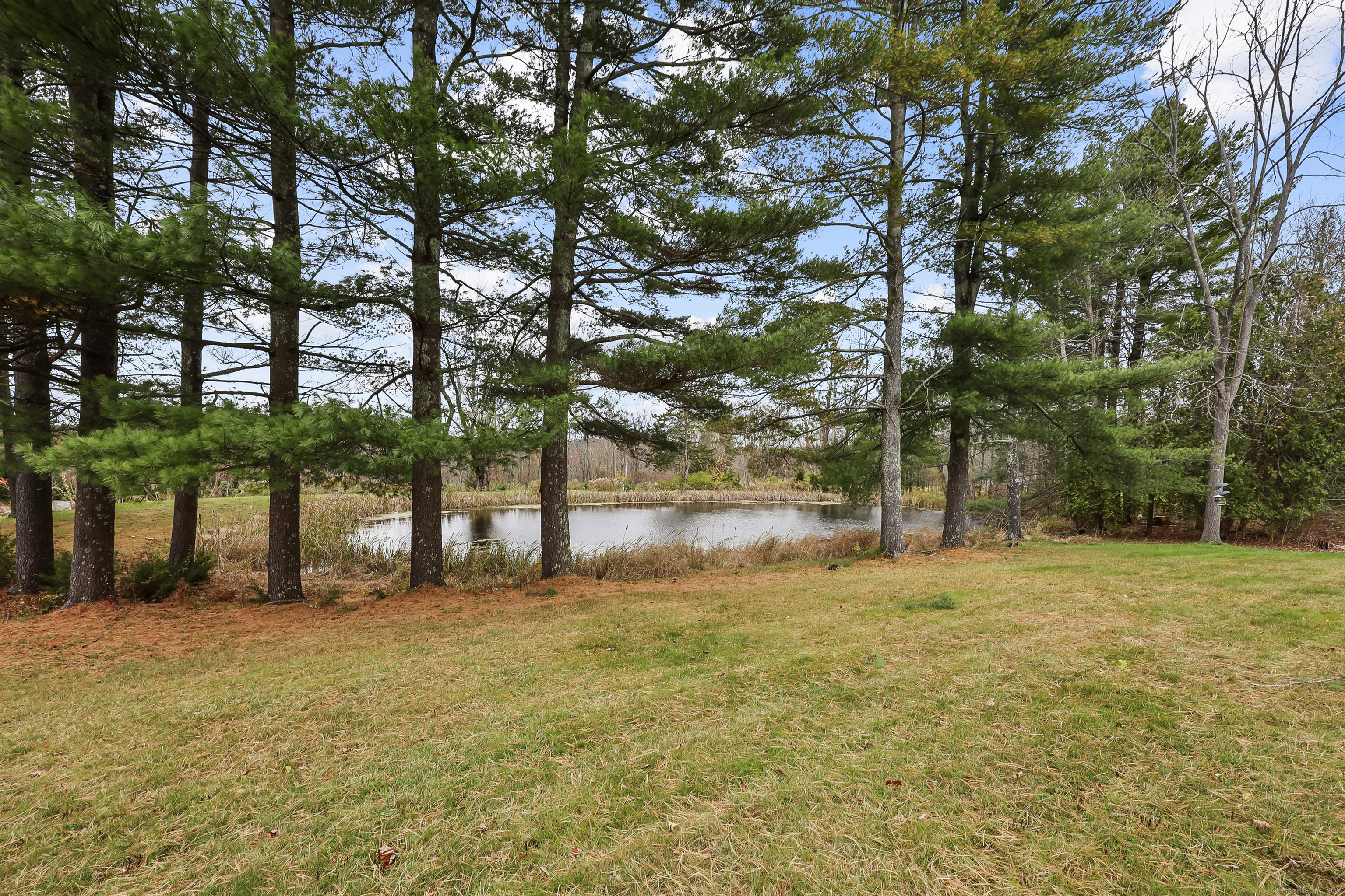 559 East Street Hebron, CT 06248 - Photo 15 of 31 a view of a yard with a tree