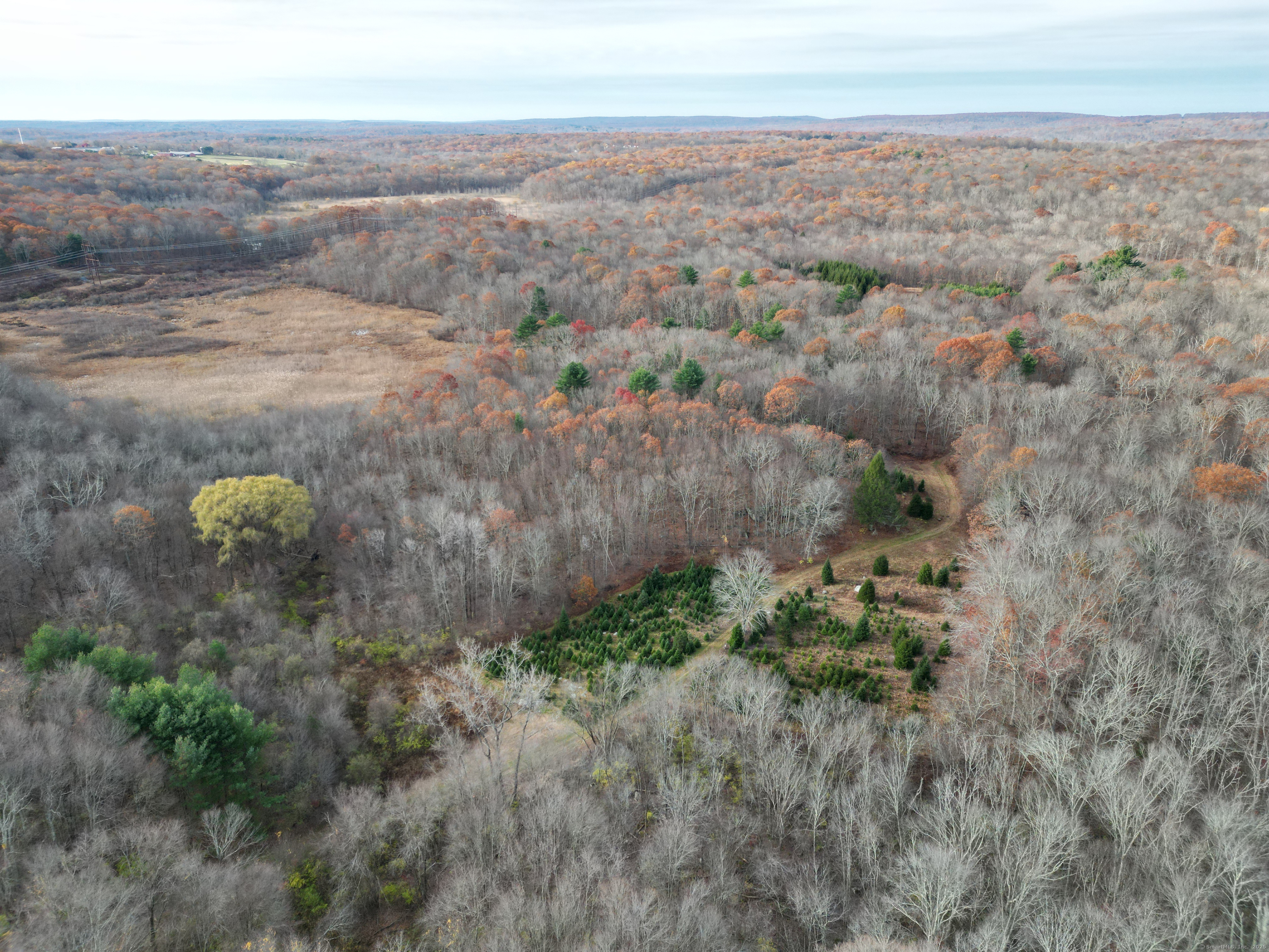 559 East Street Hebron, CT 06248 - Photo 16 of 31