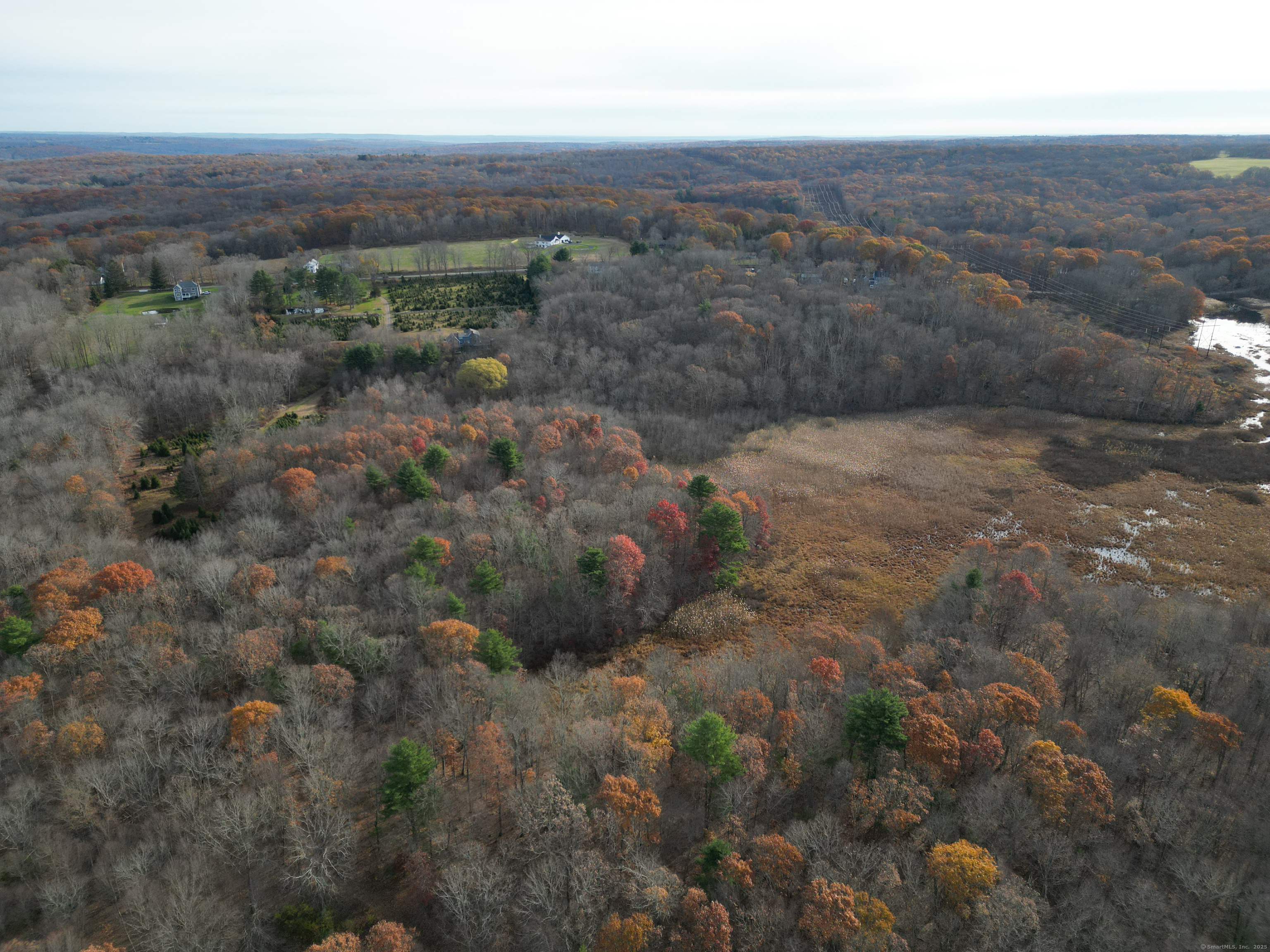559 East Street Hebron, CT 06248 - Photo 2 of 31 a view of a dry yard with green space