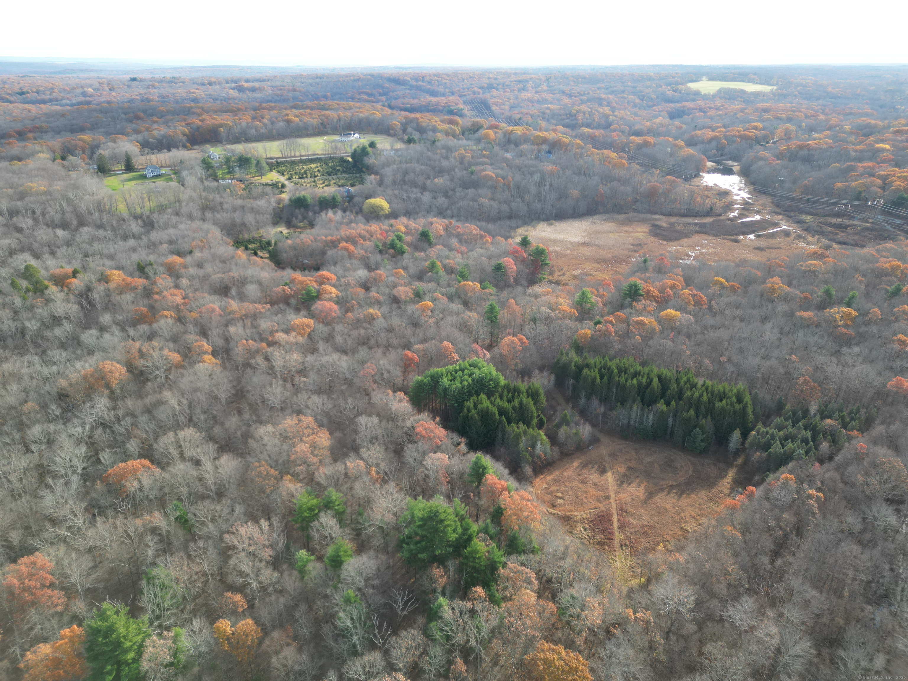 559 East Street Hebron, CT 06248 - Photo 25 of 31 a view of a dry yard with green space