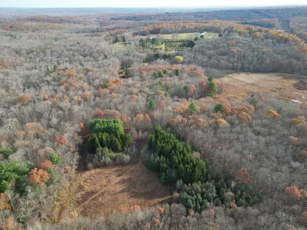 a view of a big yard with trees and some houses