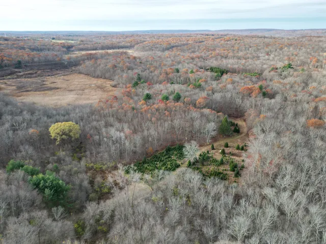 a view of a dry yard with green space