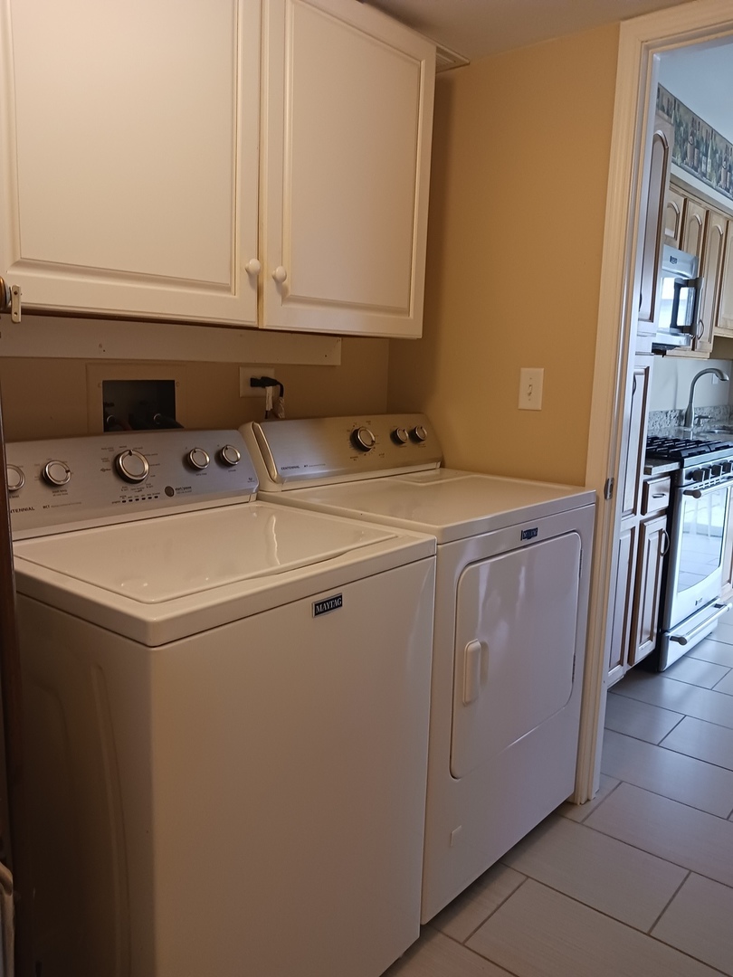 734 Colorado Court, Unit 734 Carol Stream, IL 60188 - Photo 8 of 9