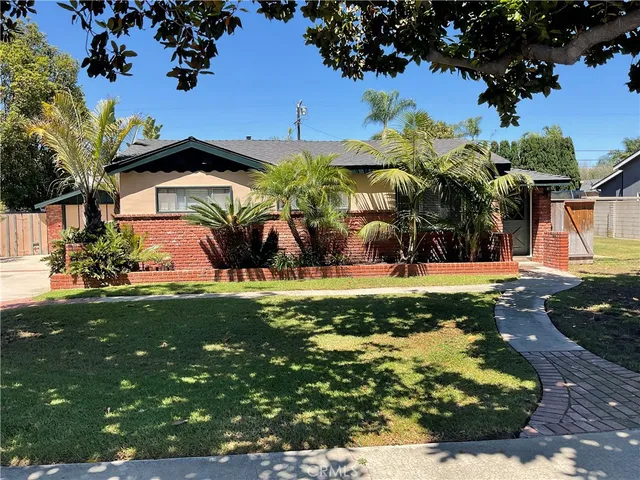 a view of a yard with plants