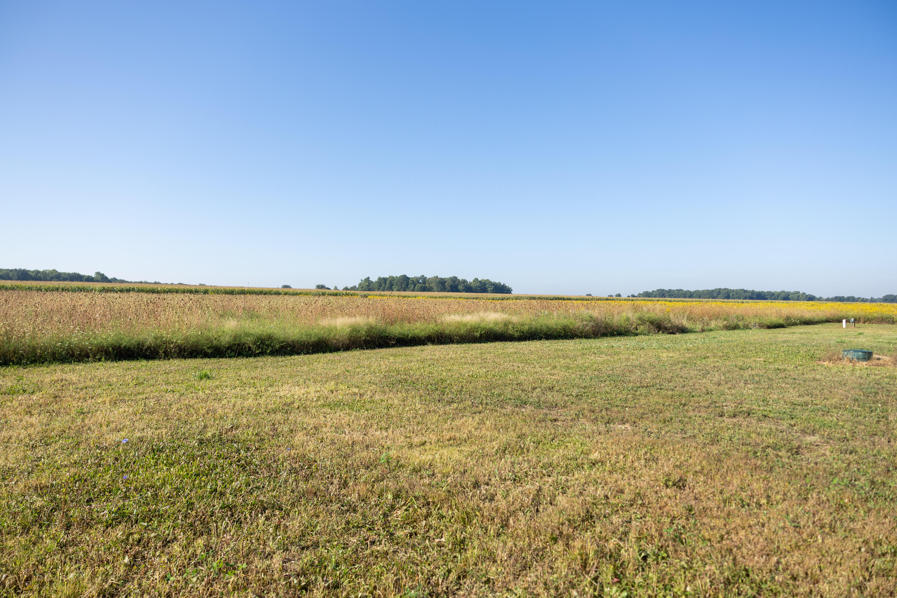 1433 West Peck Lake Road Ionia, MI 48846 - Photo 8 of 39 1433PeckLakeRd-9