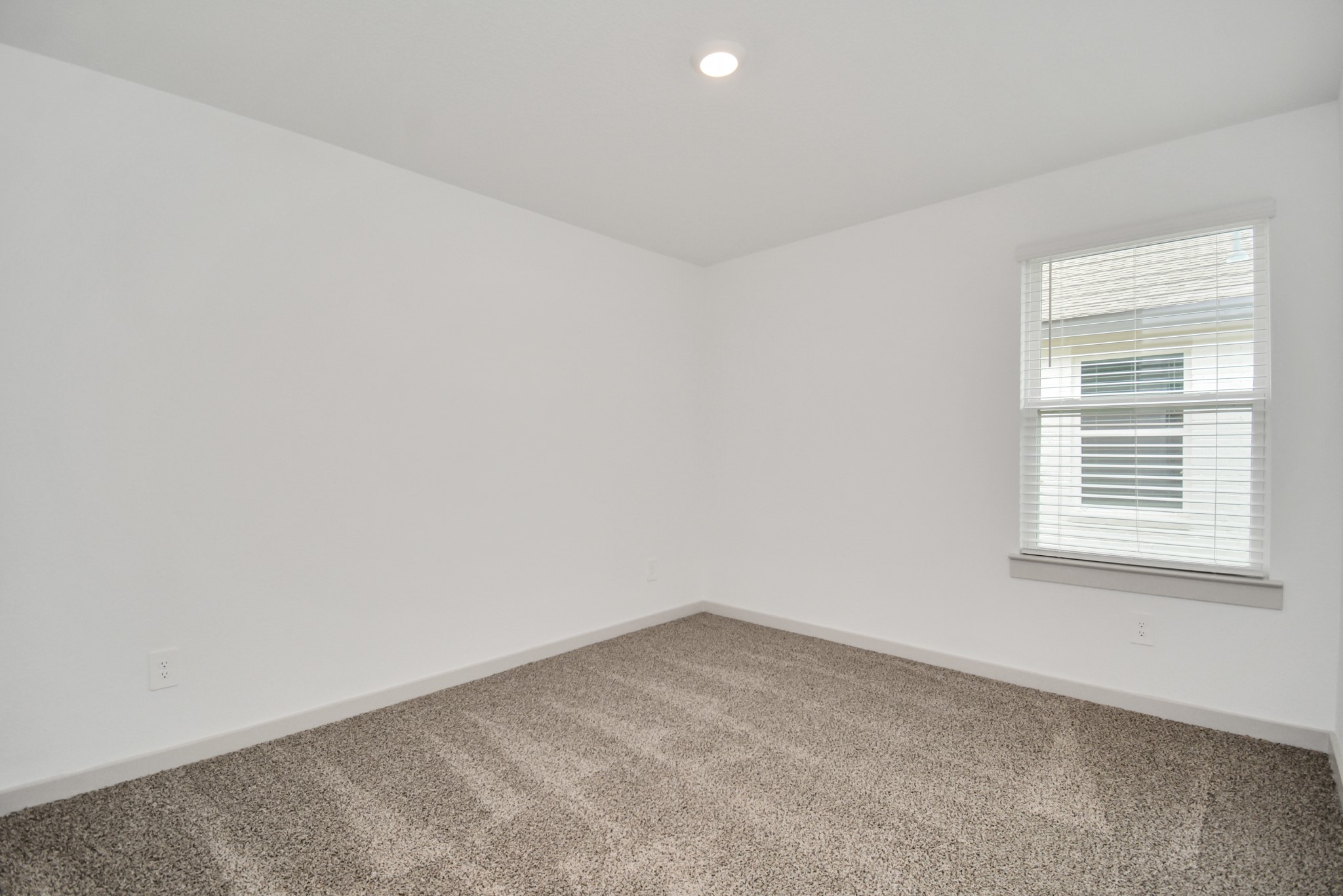 7803 Golden Rubia Lane Rosharon, TX 77583 - Photo 14 of 44