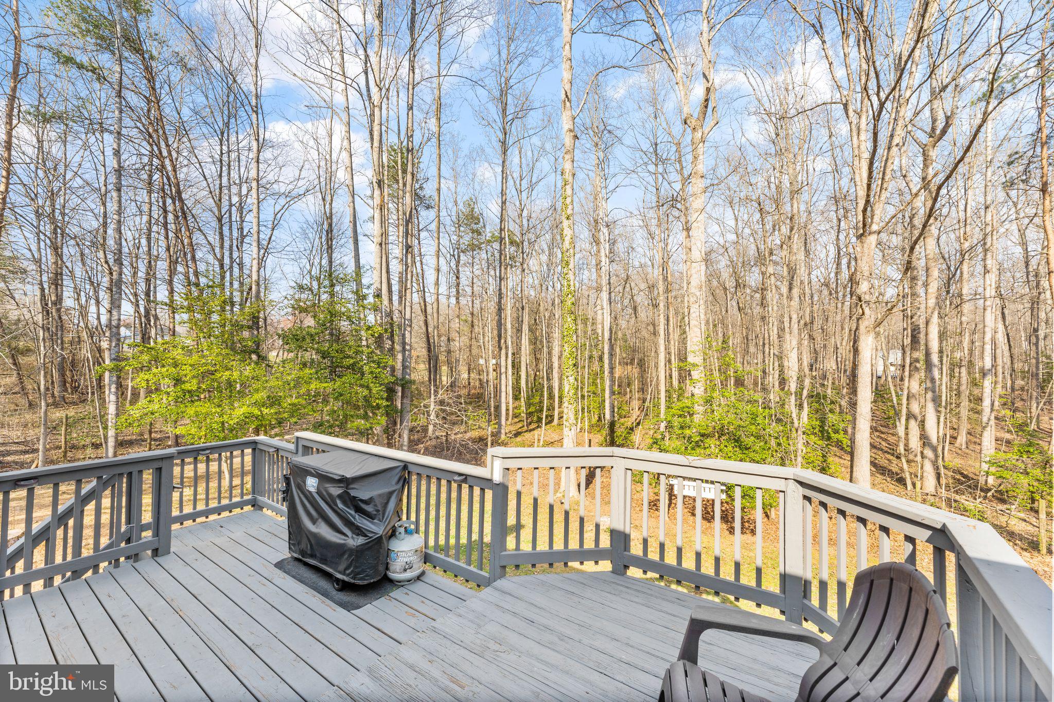 12427 Wright Way Bealeton, VA 22712 - Photo 43 of 55 Spacious Deck