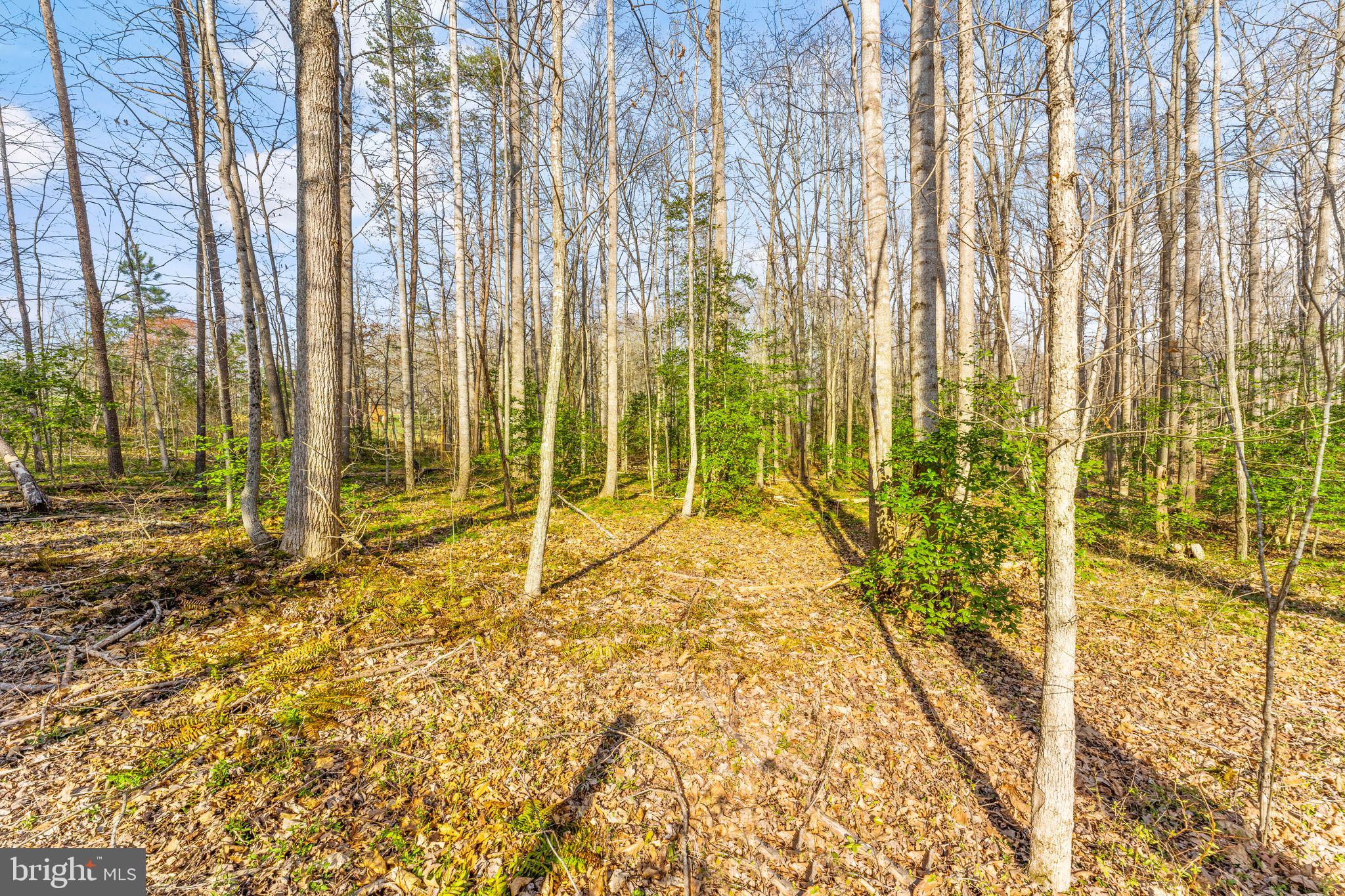12427 Wright Way Bealeton, VA 22712 - Photo 49 of 55 Rear View
