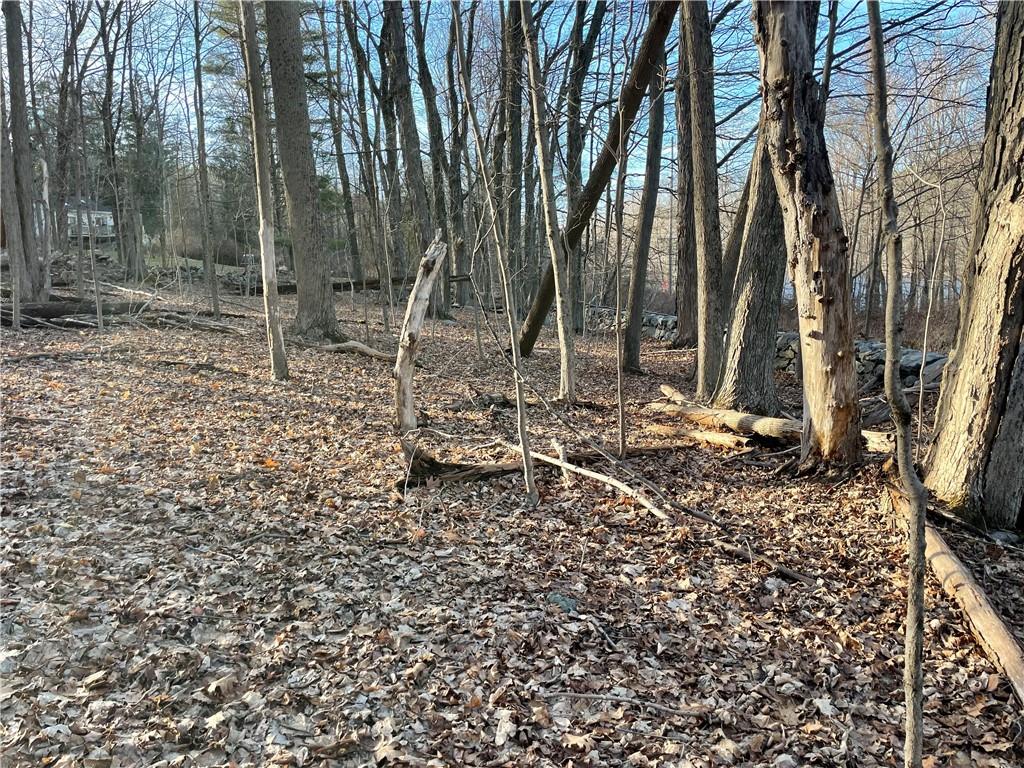 Dixon Road Kent, NY 14477 - Photo 8 of 10