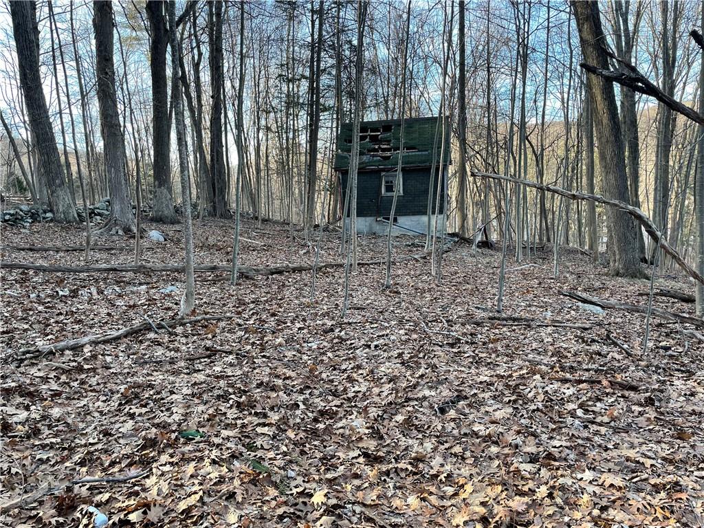 Dixon Road Kent, NY 14477 - Photo 9 of 10