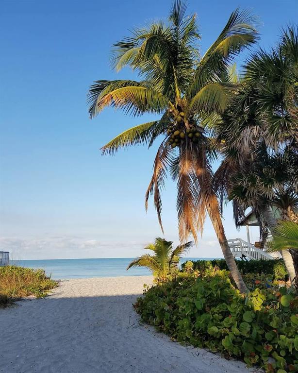 8302 Little Gasparilla Boca Grande, FL 33921 - Photo 49 of 67