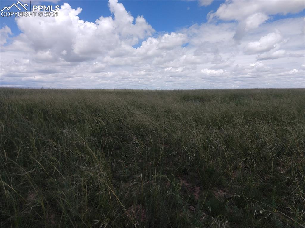 Parcel 1 Sengbeil Road Yoder, CO 80864 - Photo 14 of 17 a view of a yard