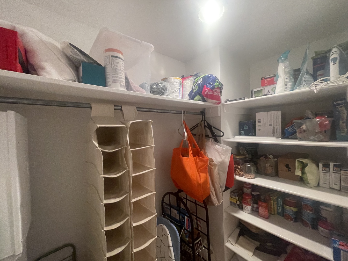 175 East Delaware Place, Unit 5403 Chicago, IL 60611 - Photo 3 of 20 a view of walk in closet with clothes and shoes