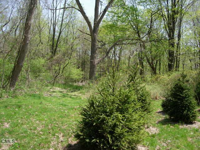 2 Deerfield Road Wilton, CT 06897 - Photo 1 of 1 a view of a lush green forest