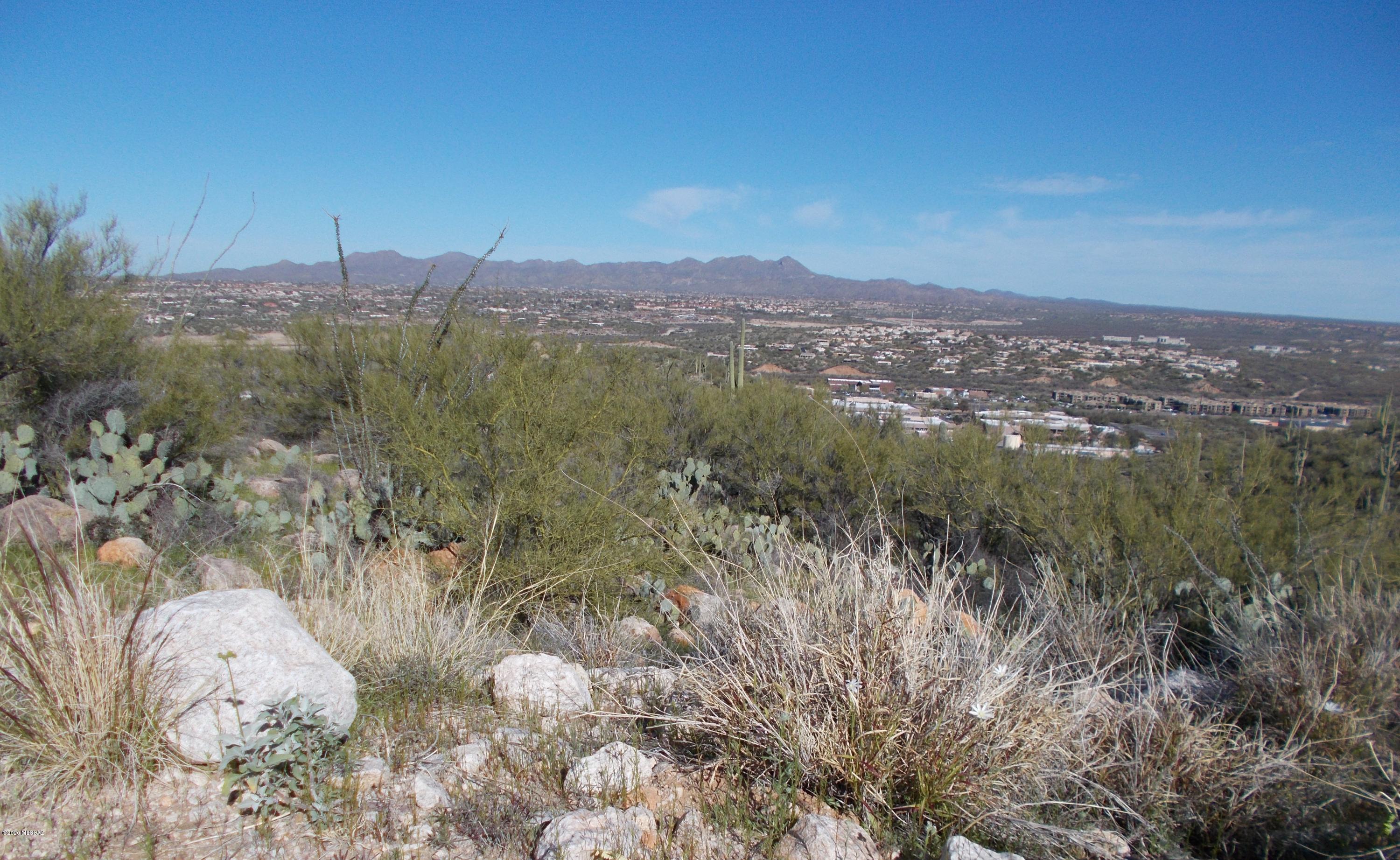 2280 Della Roccia Court, Unit 19 Oro Valley, AZ 85737 - Photo 7 of 20 a view of a city with lush green forest