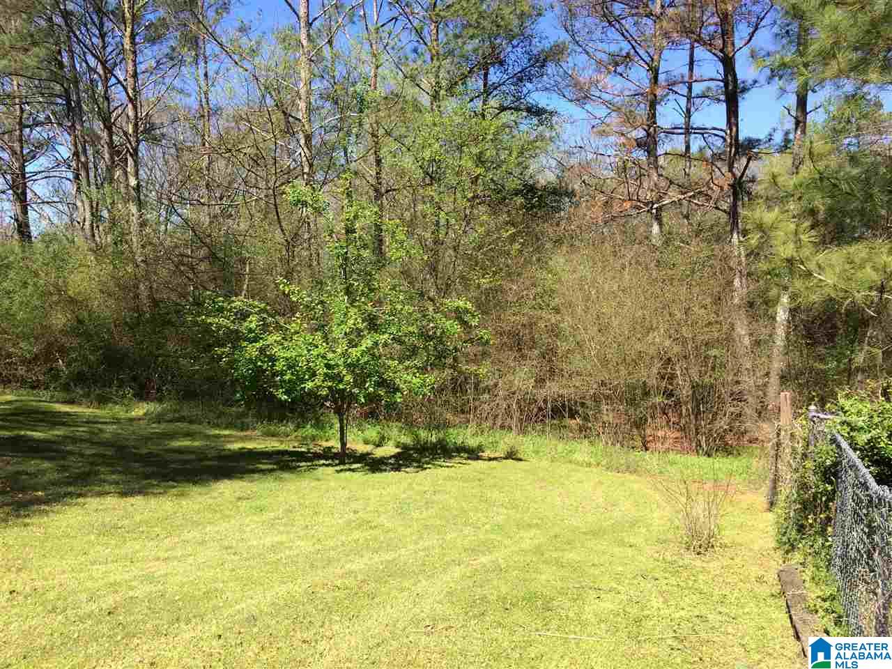 441 Pine Grove Road Oneonta, AL 35121 - Photo 34 of 44 Gallery Image 34