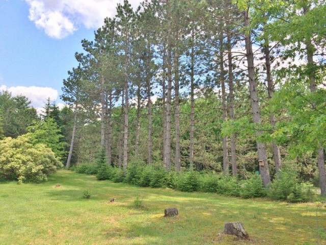 6340 Spider Lake Road Rhinelander, WI 54501 - Photo 18 of 20 Gallery Image 18