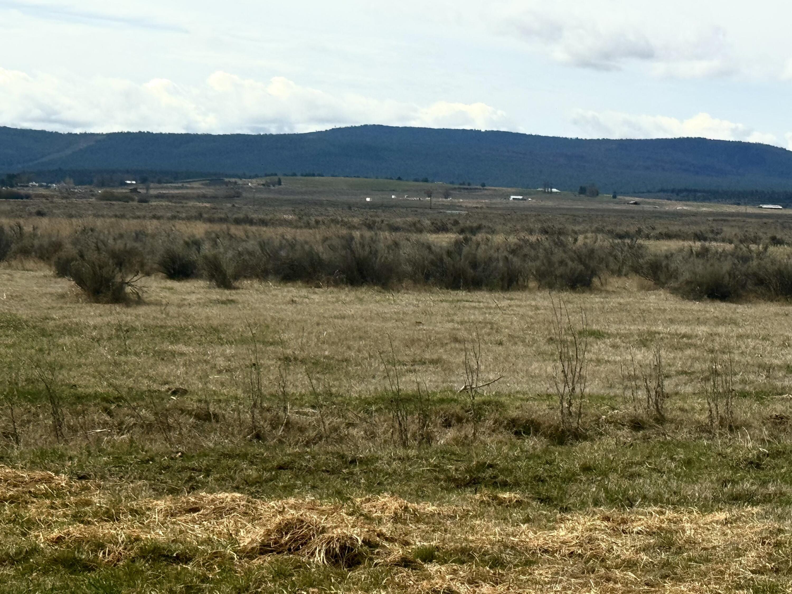 27111 Godowa Springs Road Beatty, OR 97621 - Photo 14 of 24 Beatty