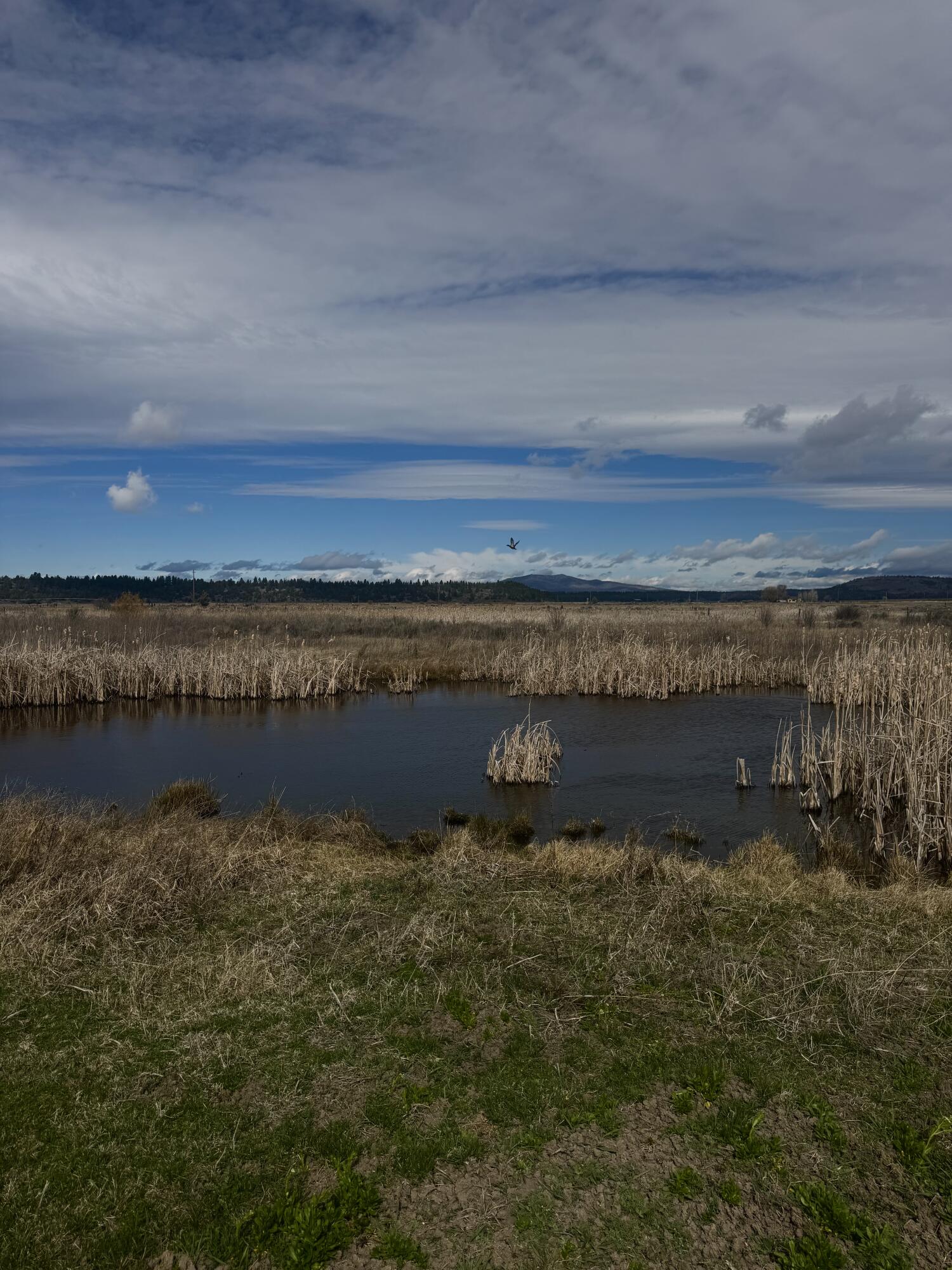 27111 Godowa Springs Road Beatty, OR 97621 - Photo 16 of 24 Beatty