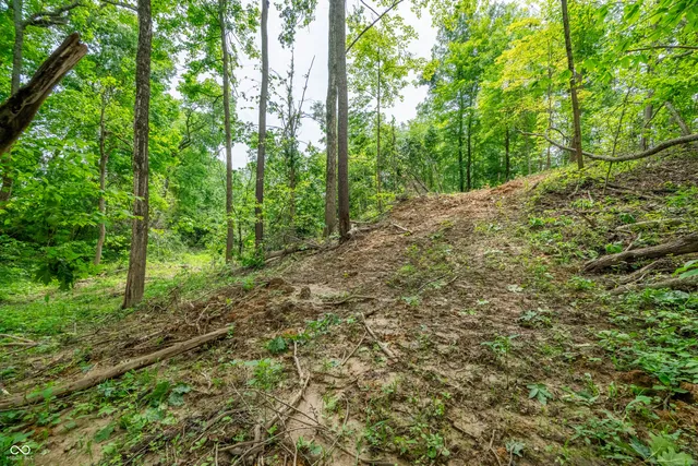 $149,900 | Tract 3 North Us Hwy 231, Spencer, IN 47460