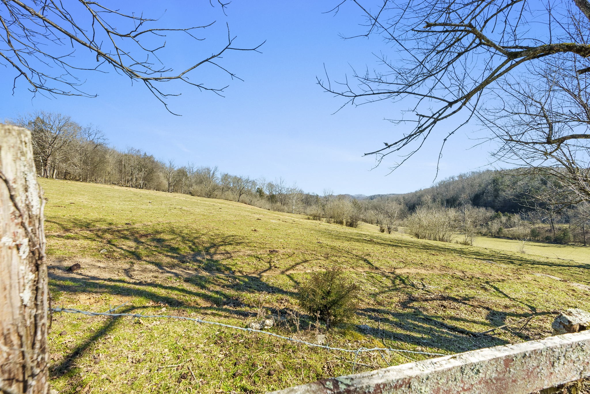 15705 St Mary's Road Buffalo Valley, TN 38548 - Photo 53 of 61 Gallery Image 53