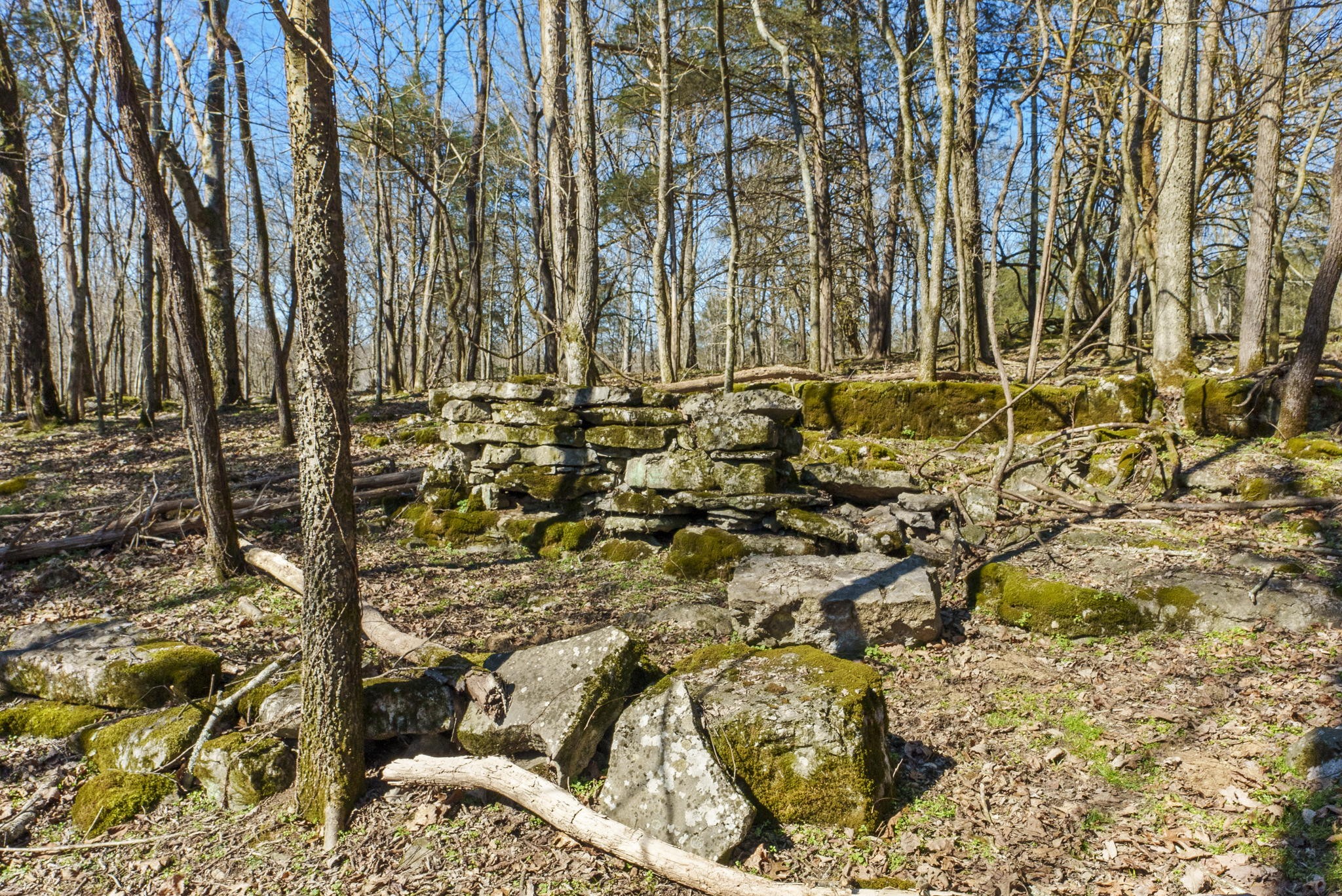 15705 St Mary's Road Buffalo Valley, TN 38548 - Photo 54 of 61 Gallery Image 54