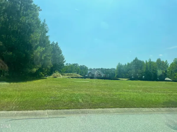 a view of a grassy field with trees in the background