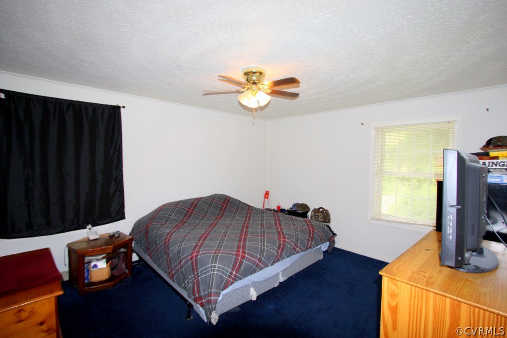 1387 Cartersville Road Cartersville, VA 23027 - Photo 15 of 22 Master Bedroom