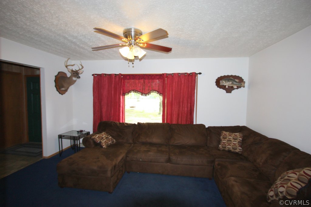 1387 Cartersville Road Cartersville, VA 23027 - Photo 4 of 22 The living room is spacious and features a ceiling