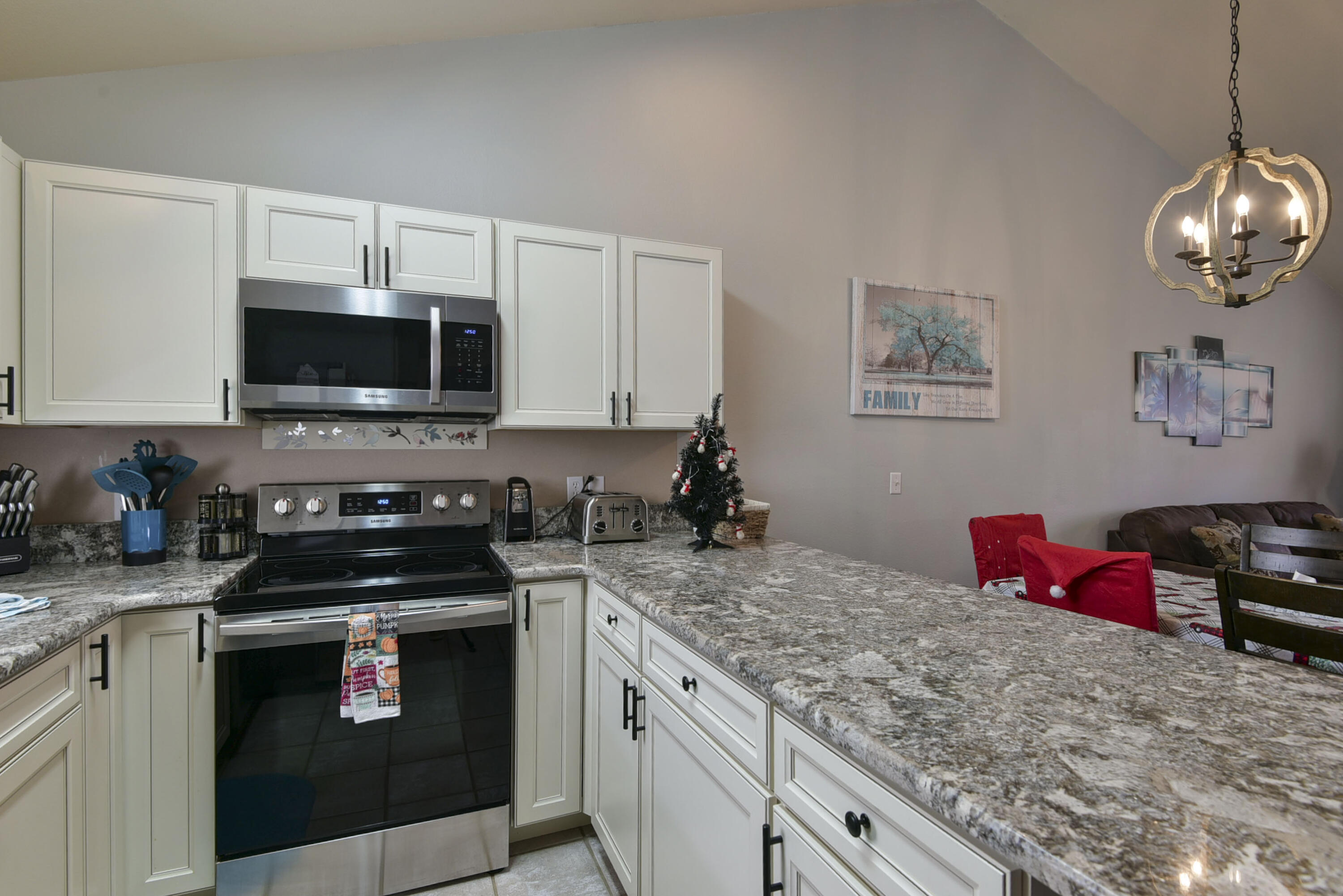 154 Oak Lane, Unit 154 Reeds Spring, MO 65737 - Photo 5 of 21 Kitchen
