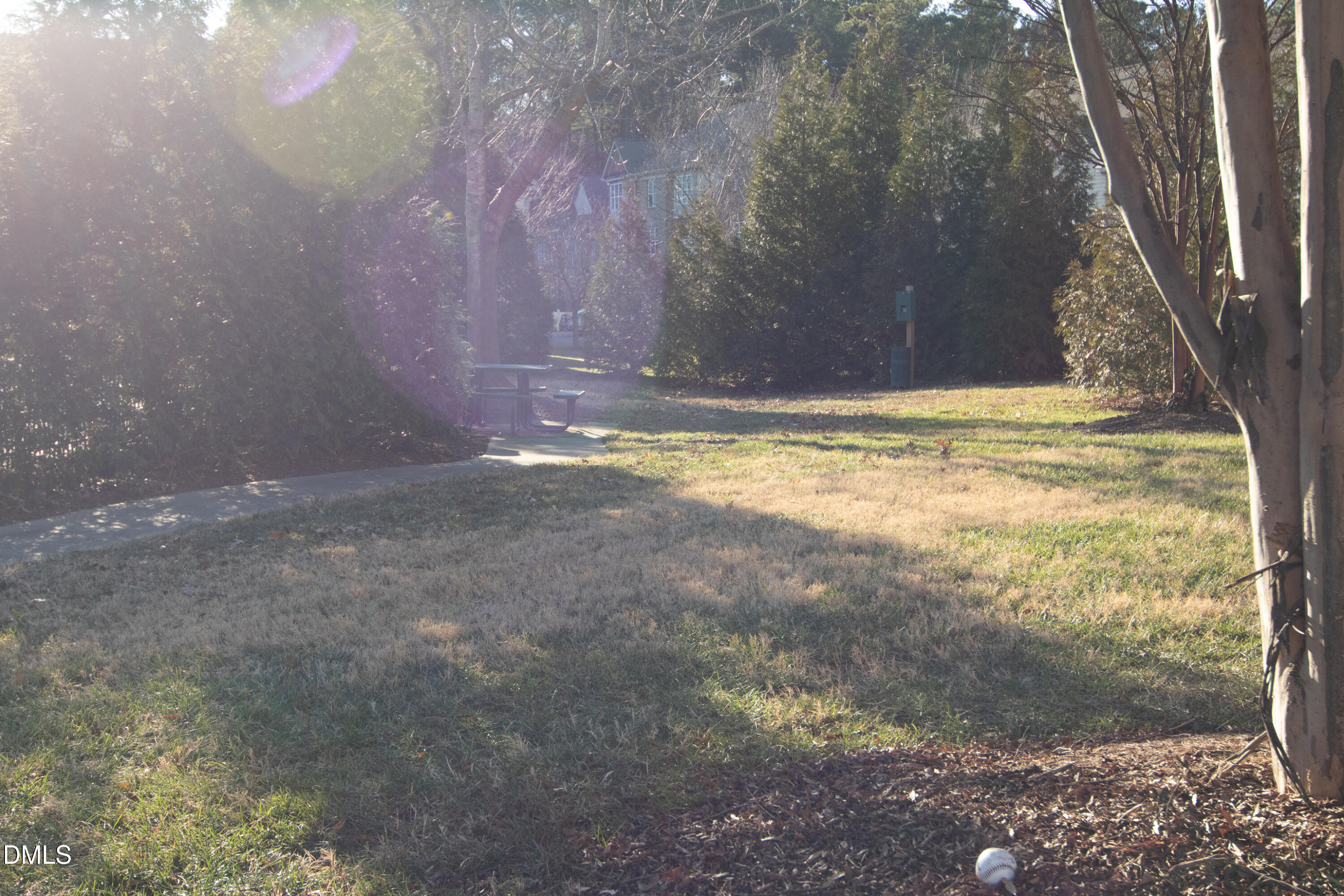 9903 Grettle Court Raleigh, NC 27617 - Photo 38 of 40 a view of a yard