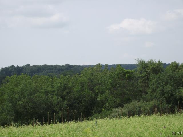 6263 Molasses Road Orefield, PA 18069 - Photo 3 of 6 VIEWS SOUTHWEST