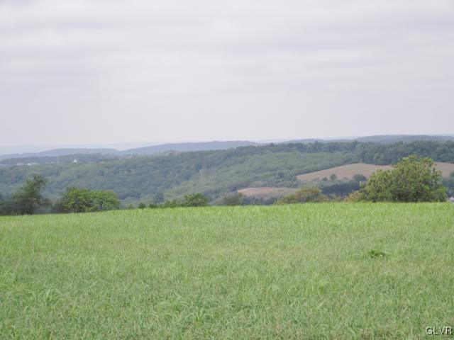 6263 Molasses Road Orefield, PA 18069 - Photo 4 of 6 VIEW NORTH