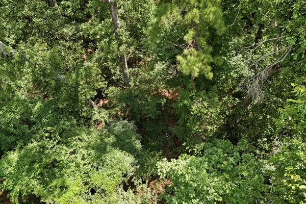 $100,000 | Tbd Coleman Drive, Splendora, TX 77372