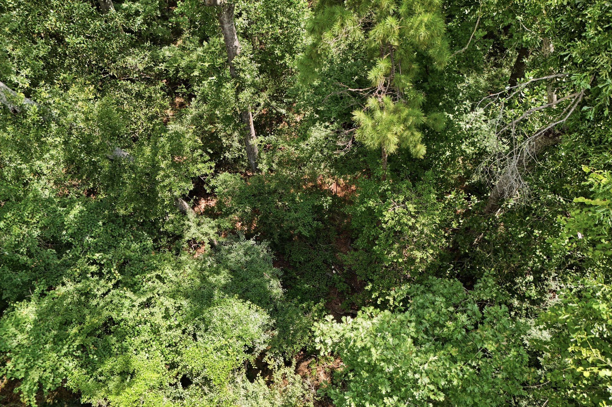 Tbd Coleman Drive Splendora, TX 77372 - Photo 1 of 16