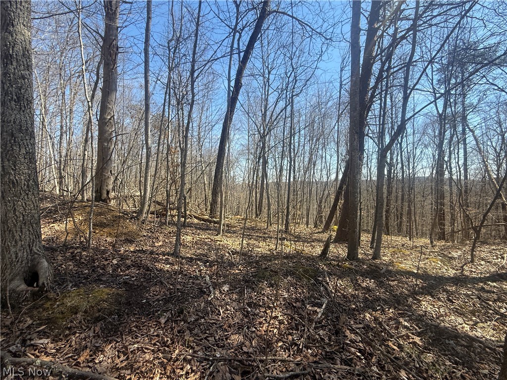 1137 Cain Road Big Bend, WV 26136 - Photo 8 of 31