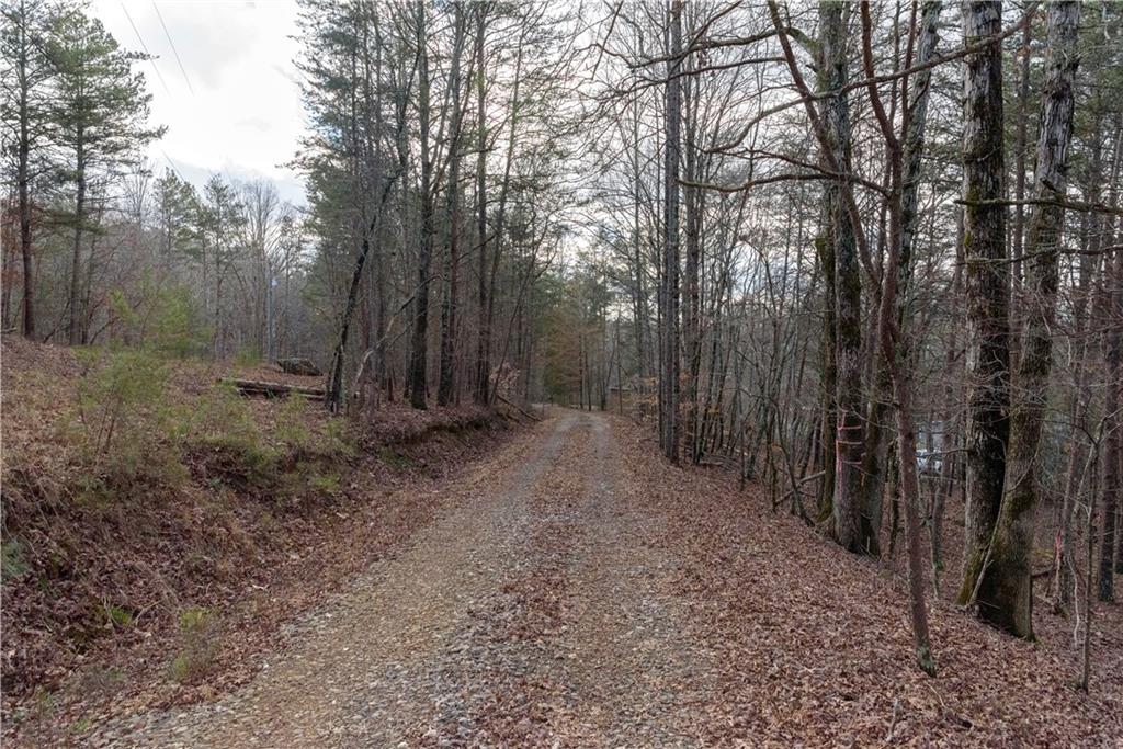 1475 Paradise Park Road Cornelia, GA 30531 - Photo 2 of 8 a view of a forest with trees in the background