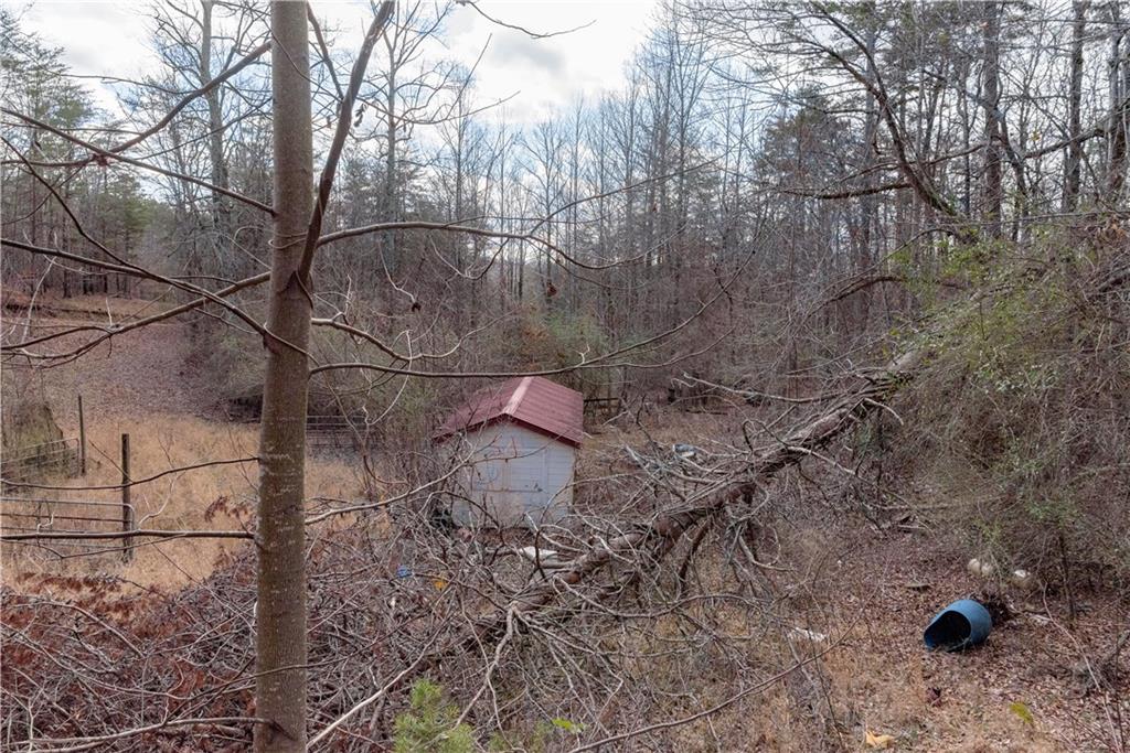 1475 Paradise Park Road Cornelia, GA 30531 - Photo 5 of 8 a backyard of a house