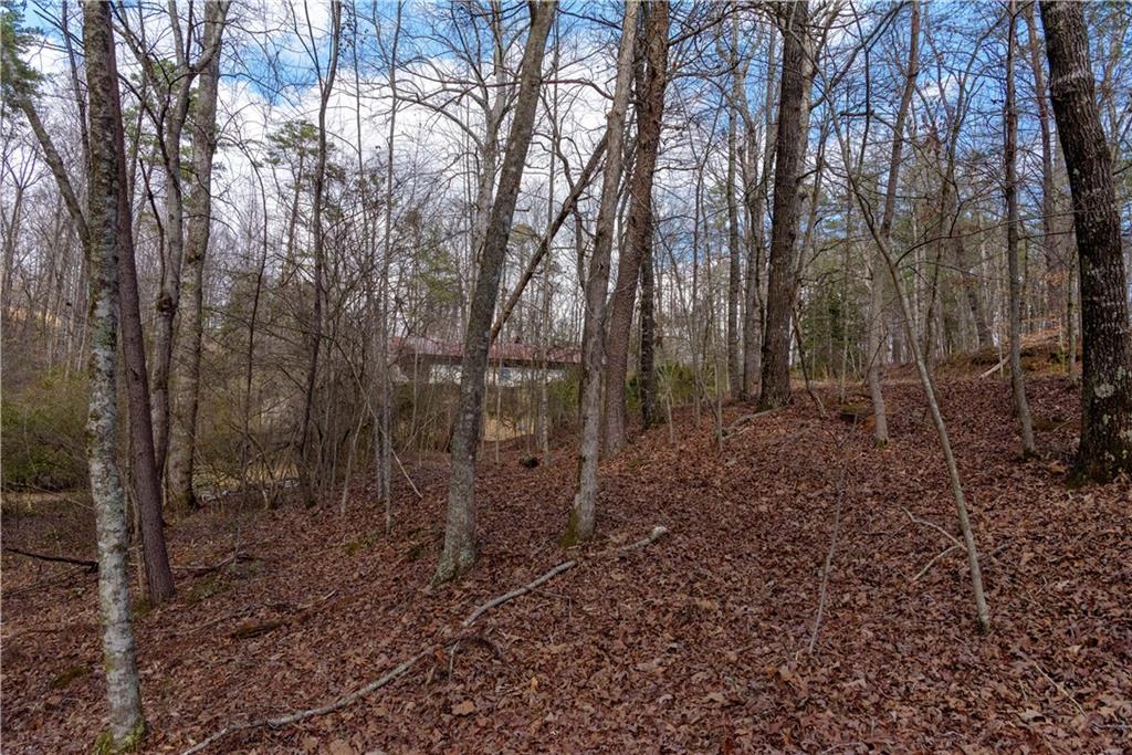 1475 Paradise Park Road Cornelia, GA 30531 - Photo 7 of 8 a view of a forest filled with trees