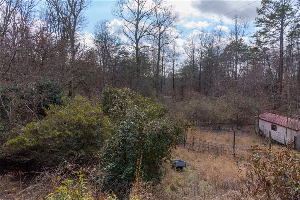 1475 Paradise Park Road Cornelia, GA 30531 - Photo 8 of 8 a view of a yard